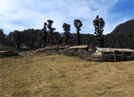 trekking in uttrakhand